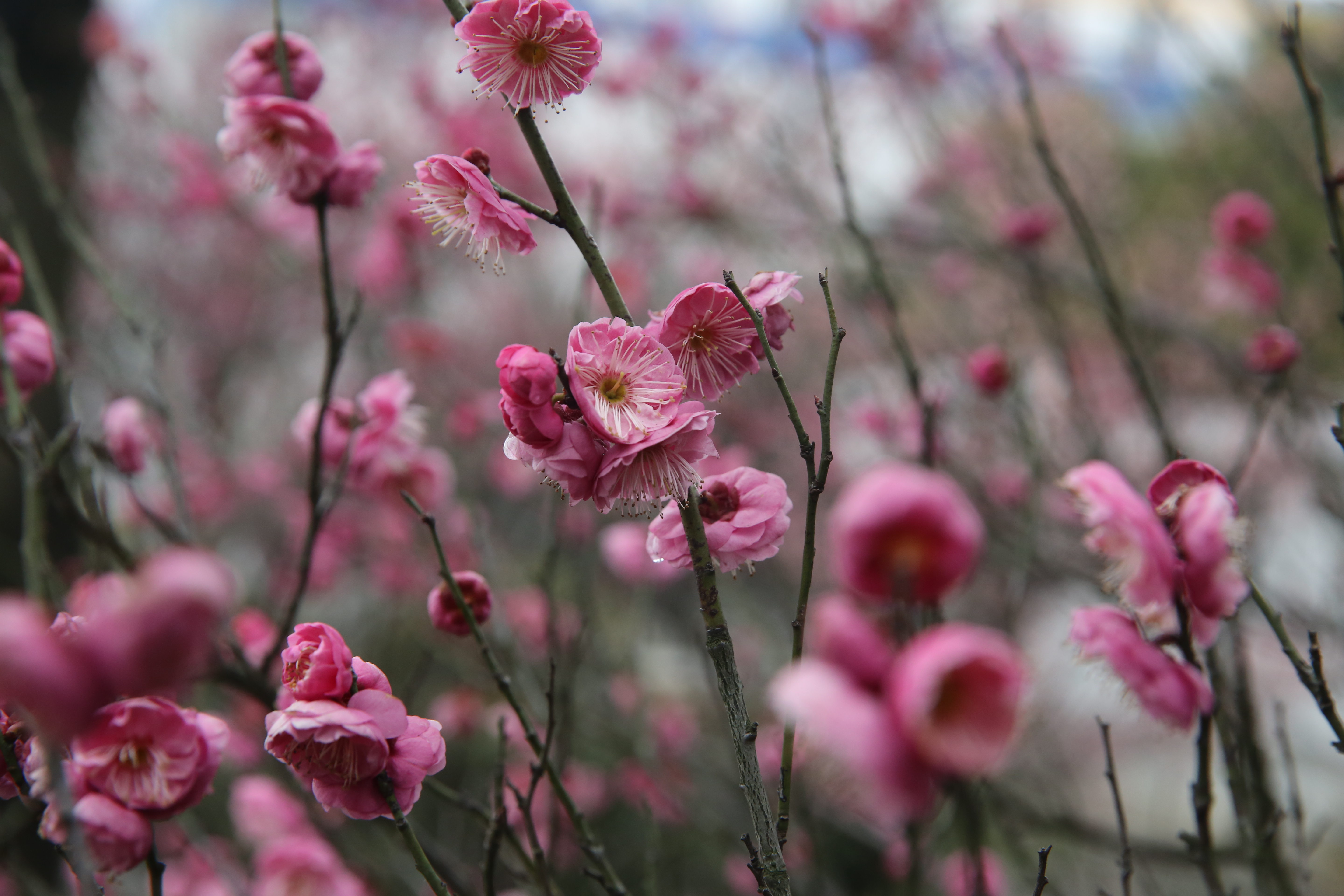 九州酷游(酷游·ku游)官方网站