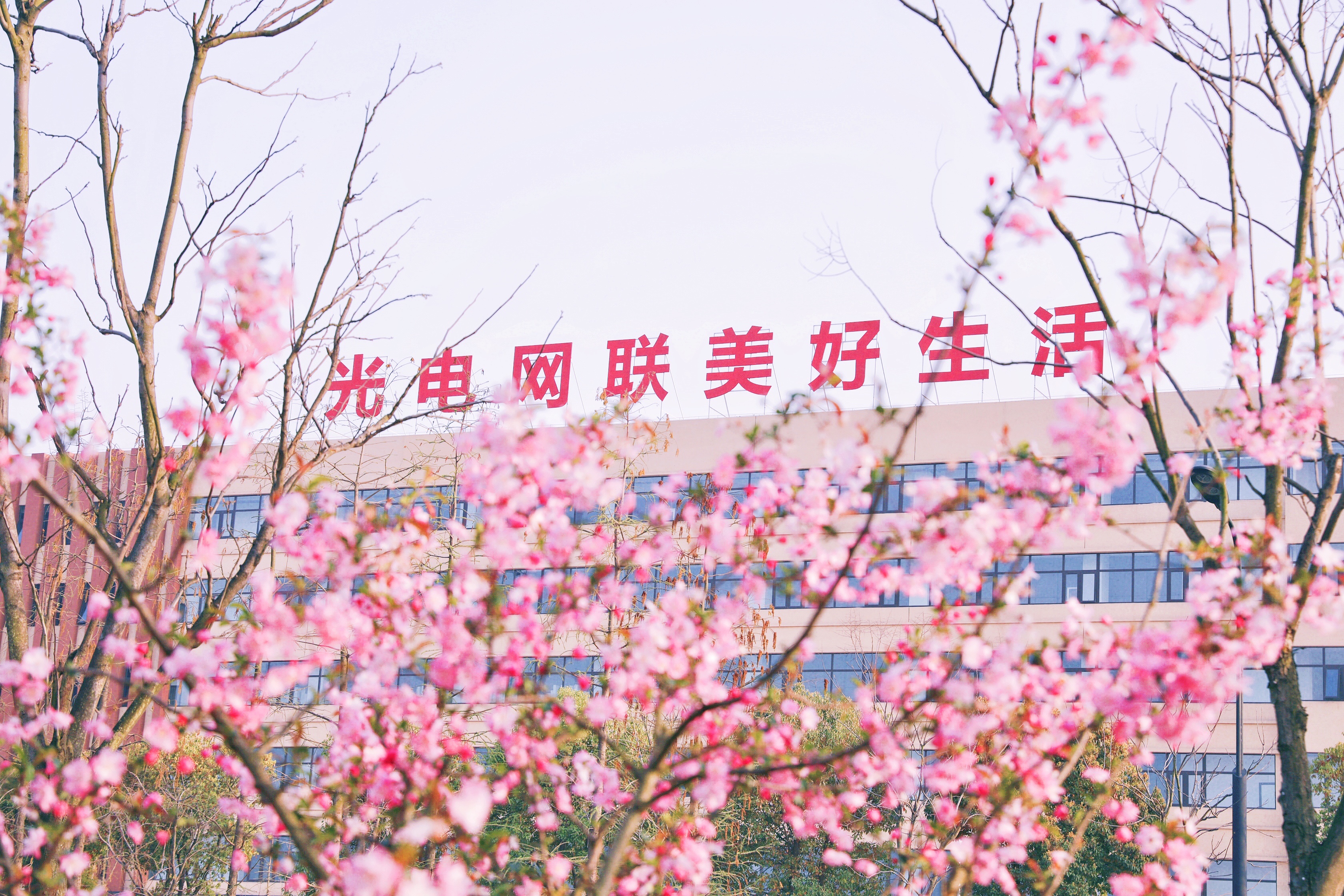 九州酷游(酷游·ku游)官方网站